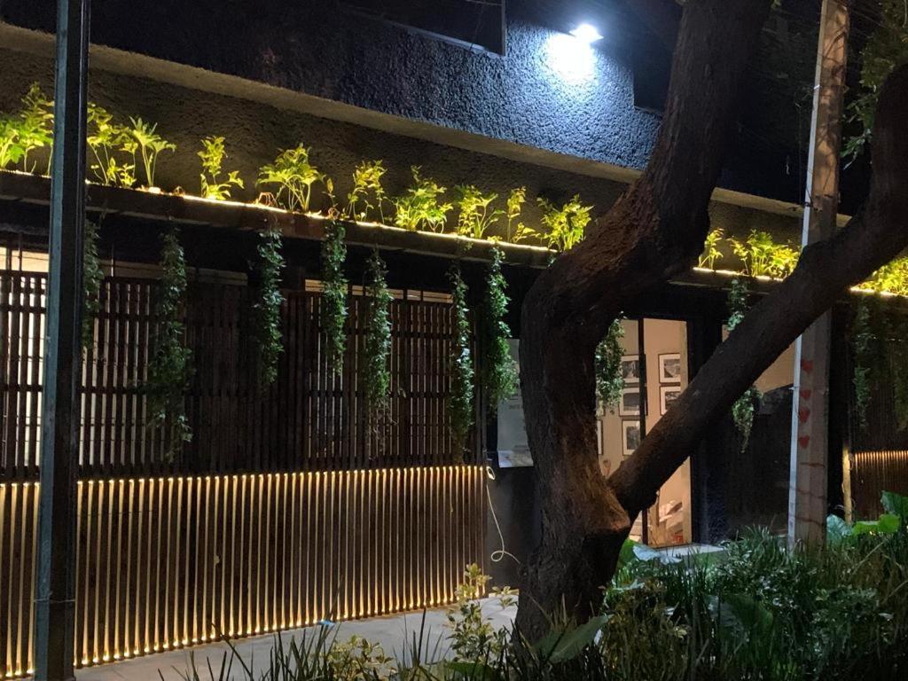 Frontera 49 Roma Norte Hostal Meksyk Zewnętrze zdjęcie