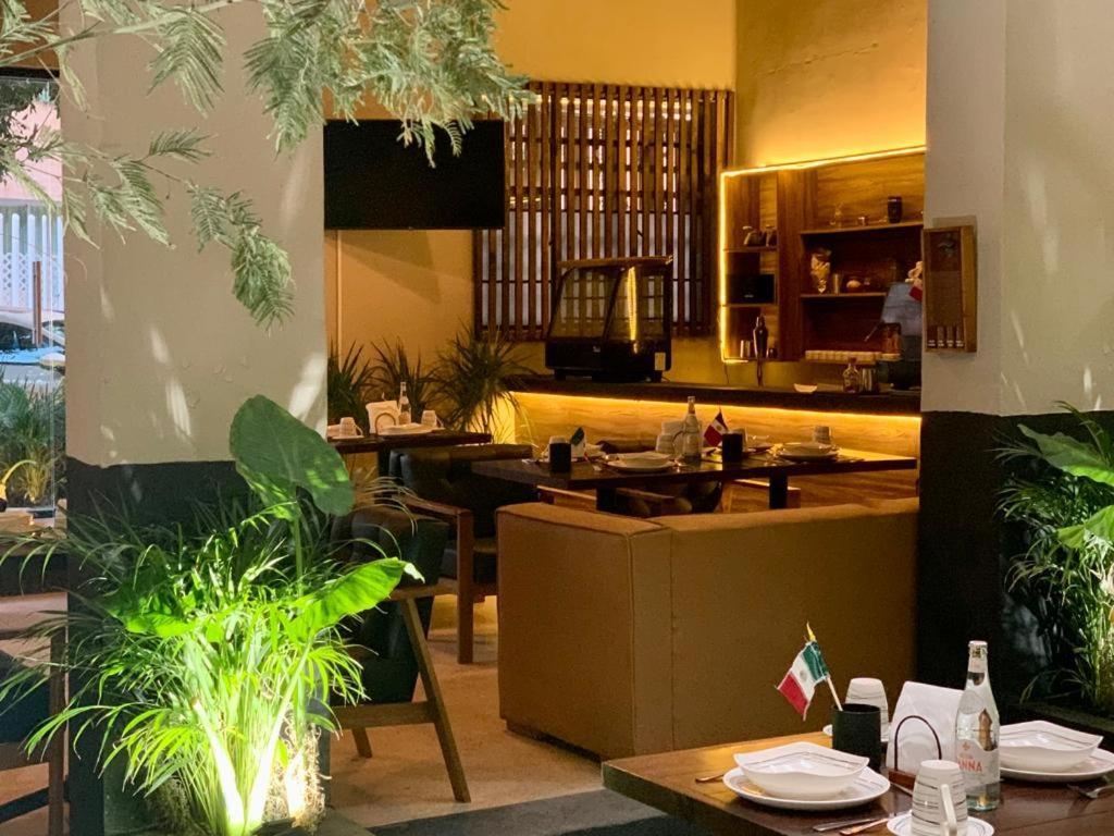 Frontera 49 Roma Norte Hostal Meksyk Zewnętrze zdjęcie