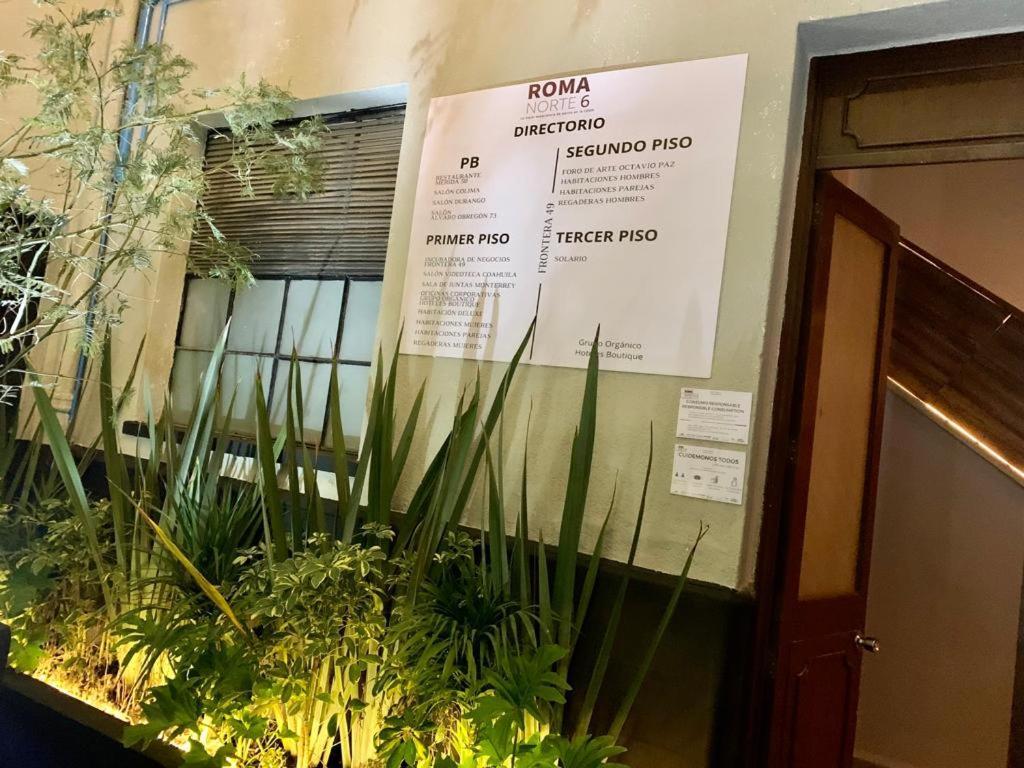 Frontera 49 Roma Norte Hostal Meksyk Zewnętrze zdjęcie