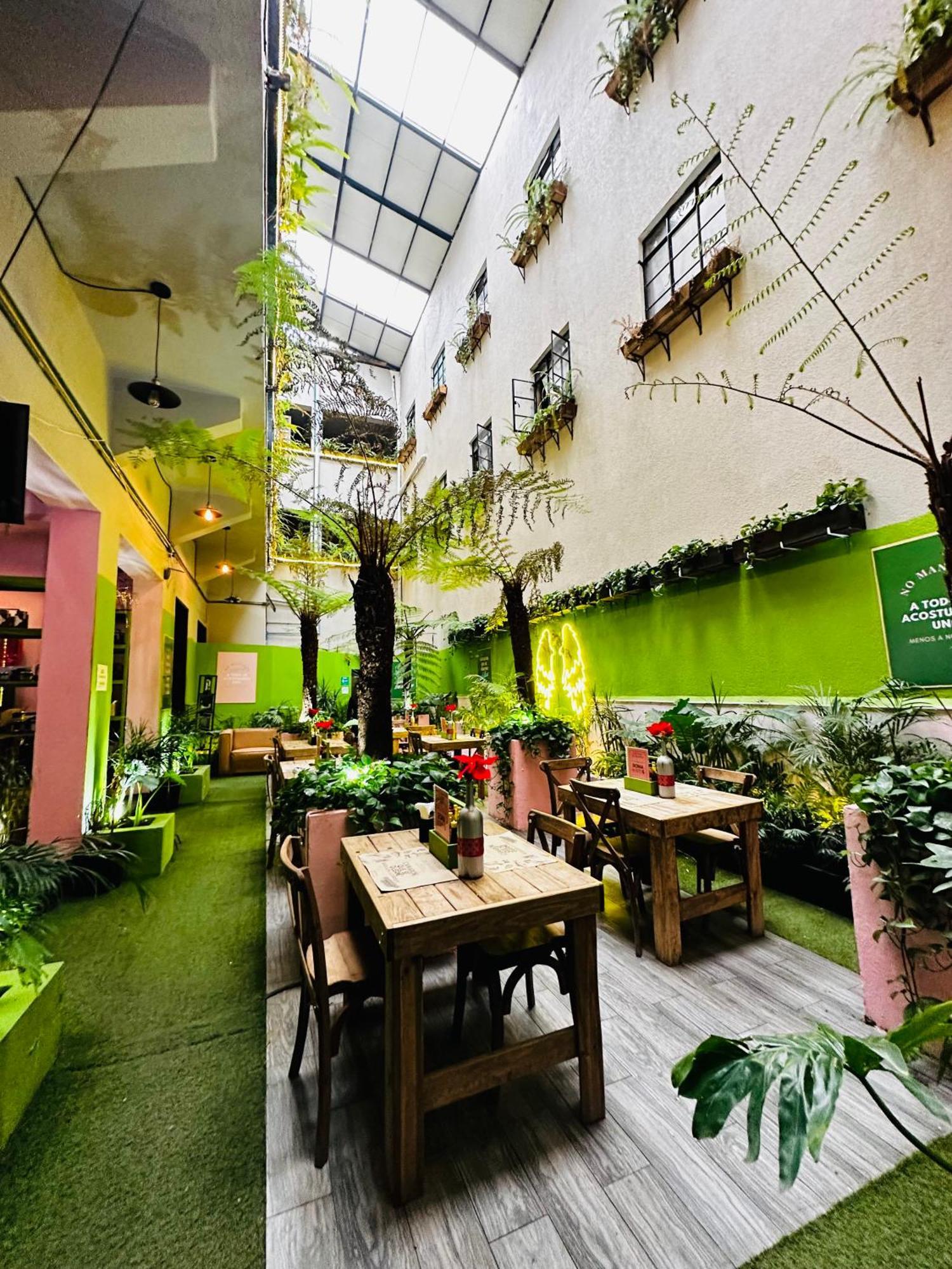 Frontera 49 Roma Norte Hostal Meksyk Zewnętrze zdjęcie