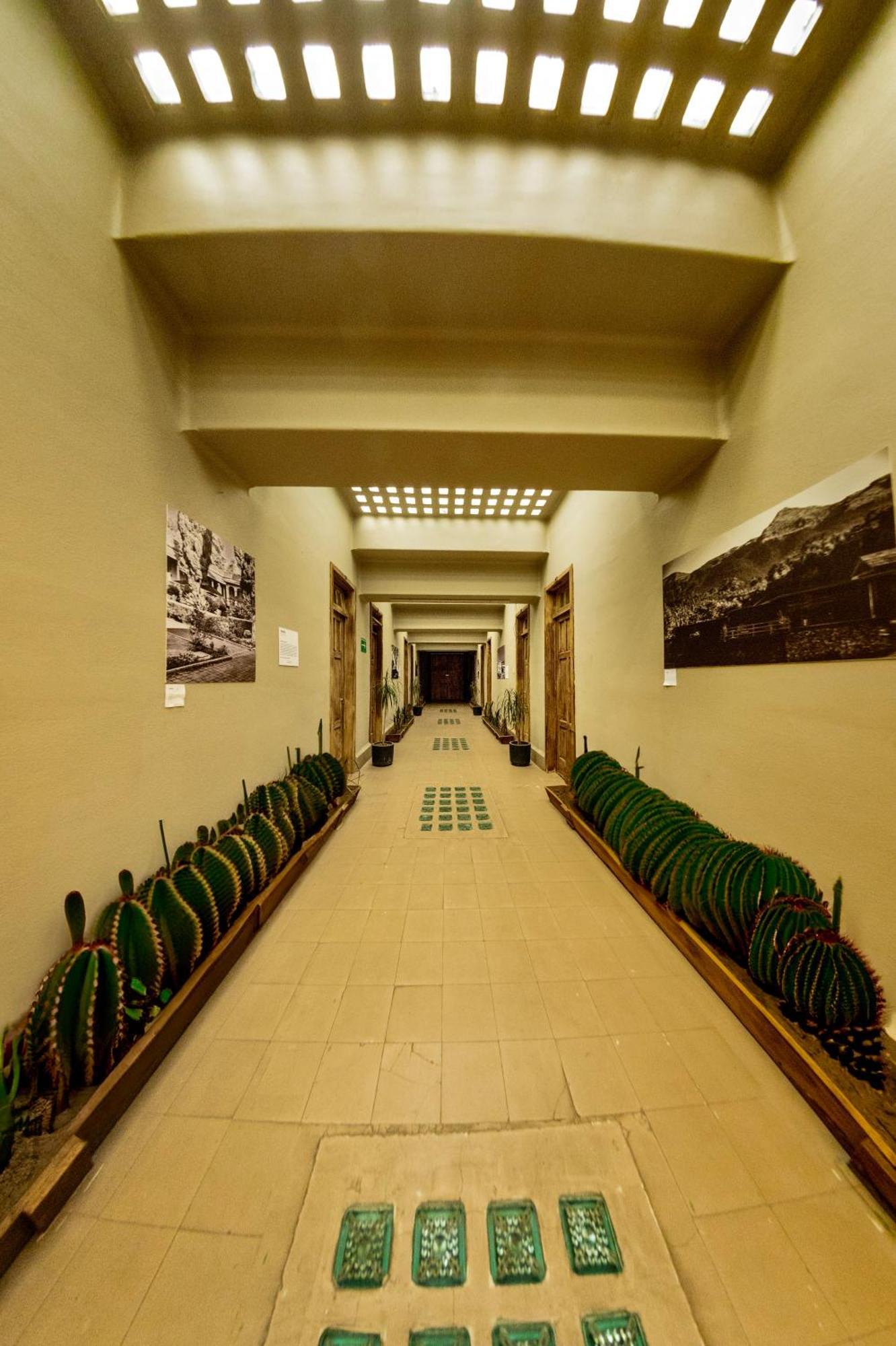 Frontera 49 Roma Norte Hostal Meksyk Zewnętrze zdjęcie
