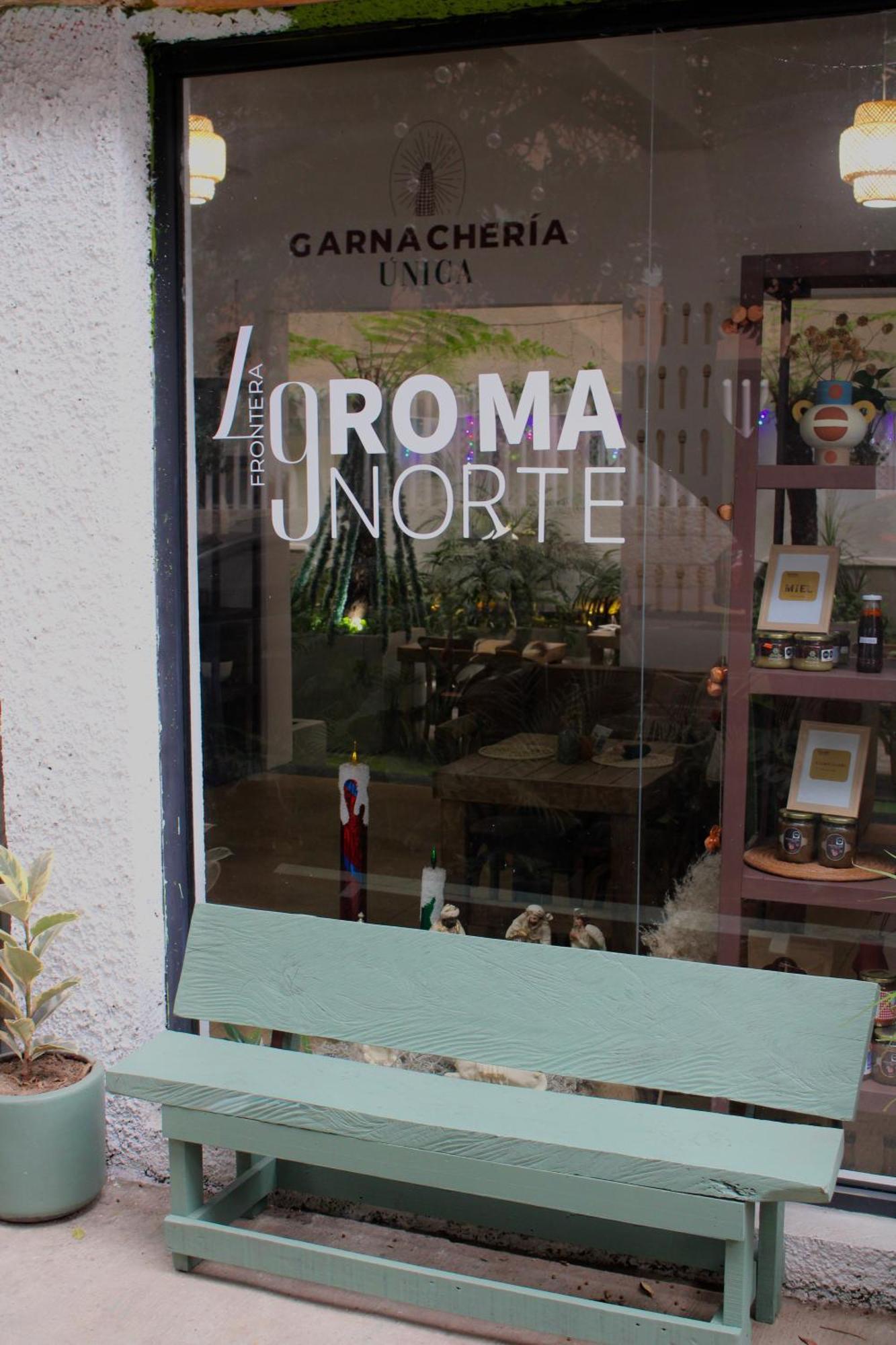 Frontera 49 Roma Norte Hostal Meksyk Zewnętrze zdjęcie